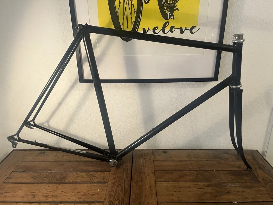 De Rosa Professional Rahmen 70ies frame roadbike Campagnolo Record Columbus SL