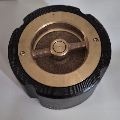Apollo 3 in Spring Foot Check Valve Cast Iron 125 WOG/WSP Water 0300-125WCIBM-T