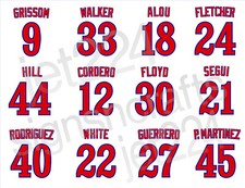 Montreal Expos DECAL STICKER 90's Walker Alou Cordero Martinez Floyd Grissom +