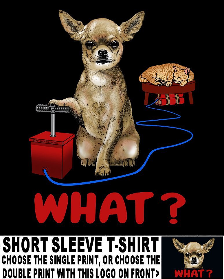 Funny Cute Chihuahua WHAT Dog with Dynamite Threatens to Blow Up