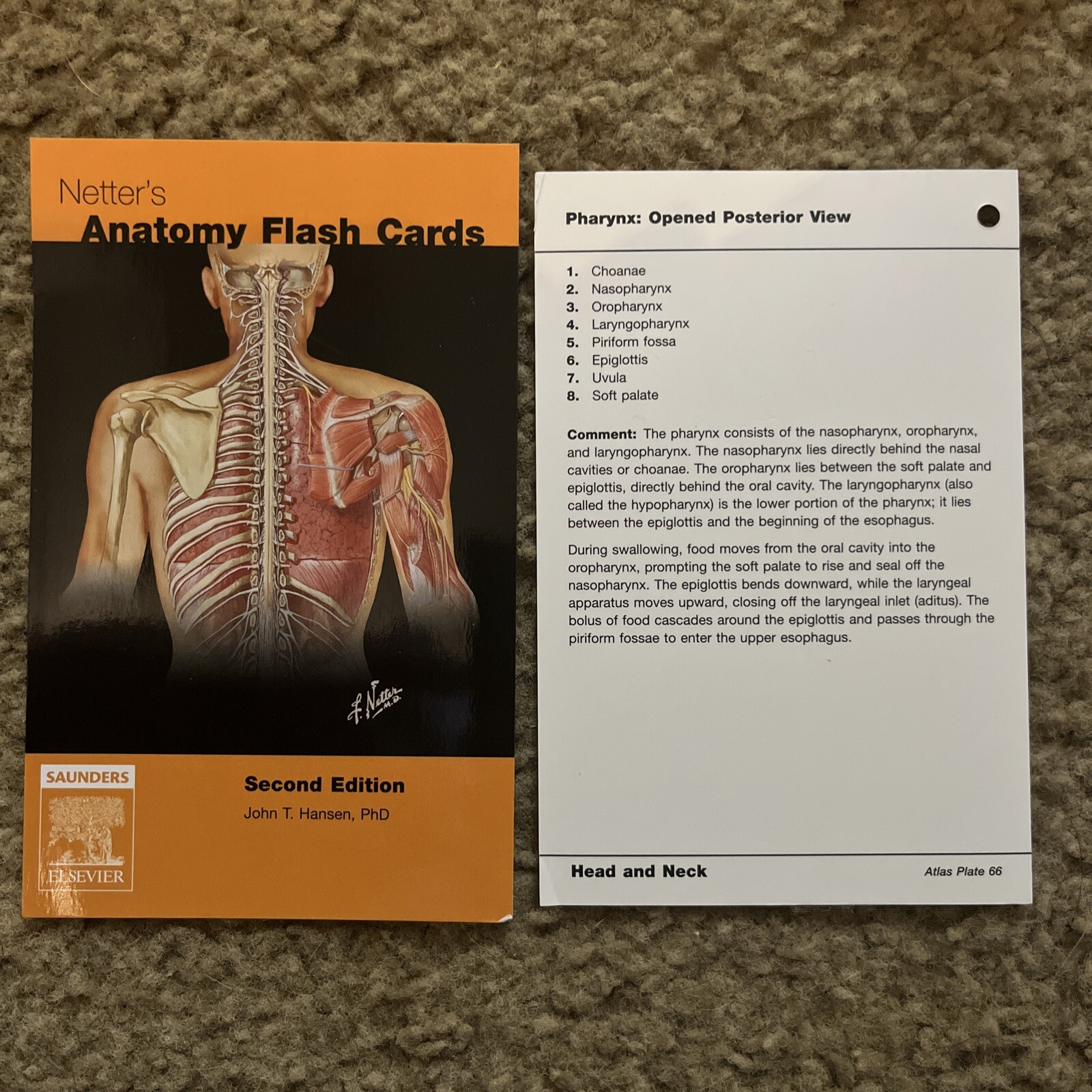 Netter's Anatomy Flash Cards by John T. Hansen 2nd Ed 2006