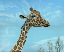 Giraffe Original painting, oil on canvas 16