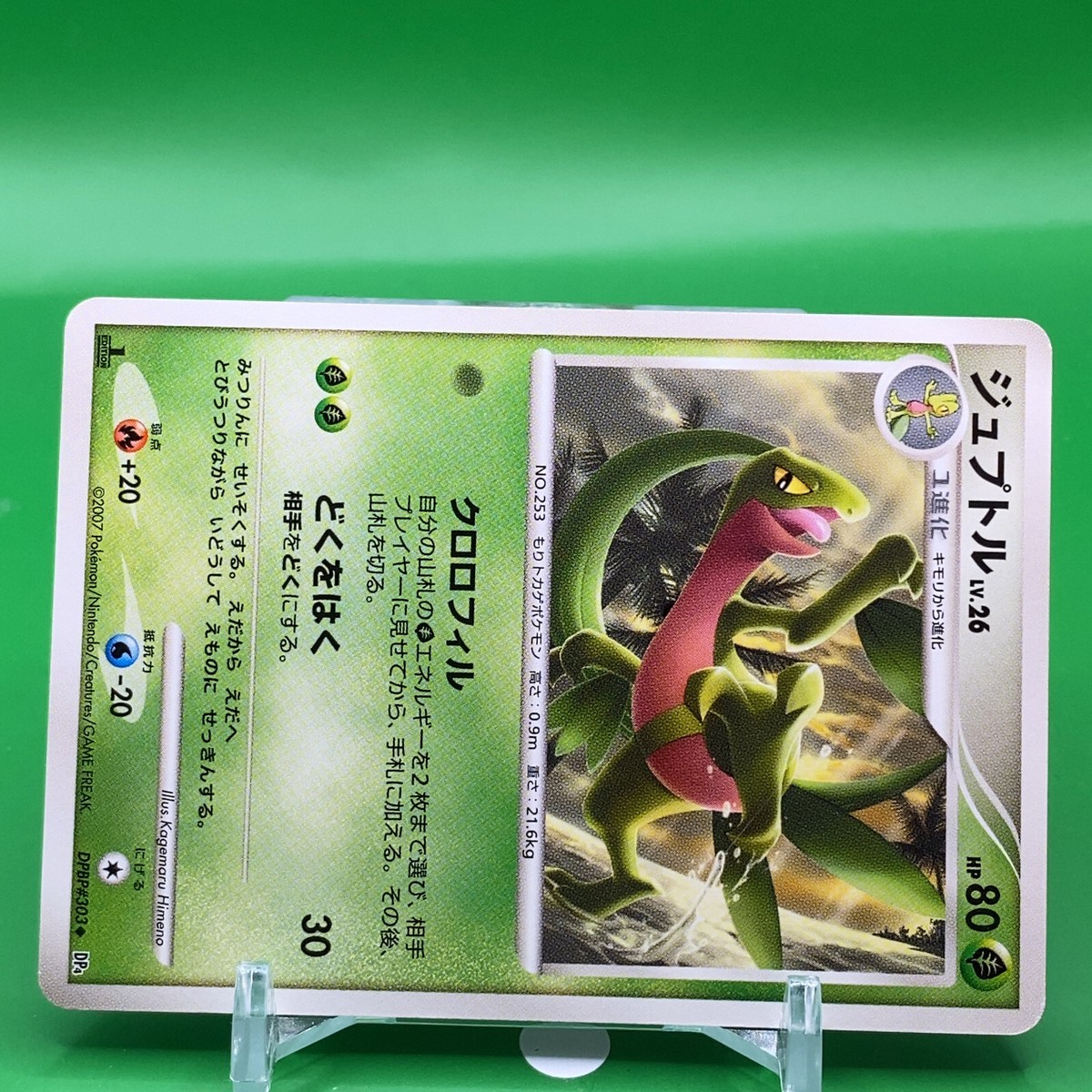 Grovyle TCG 1ed Lv.26 Pokemon Card Game Japanese Japan Nintendo