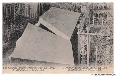 CAR-AEQP5-0262-60 - DIE DEUTSCHEN SCHÄNDUNGEN IN FRANKREICH OFFENHEIT - Violettes Grab