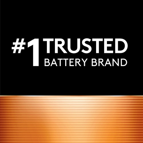 Duracell CopperTop Alkaline Batteries with Duralock Power Preserve Technology - Picture 5 of 6