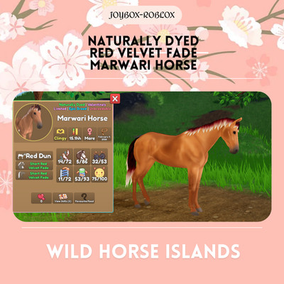   Wild Horse Islands  RC Naturally Dyed Rare Coat Breeds RESTOCKED 3/31/26
