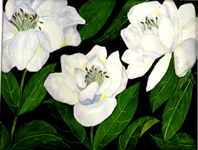 PAINTING WATERCOLOR 11X14 AND MAT 16X20 FLOWER GARDENIA WHITE BLUE ORIGINAL ART