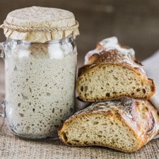 100g Dinkel Anstellgut, Sauerteig, Anstelltei...