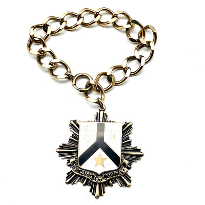 Pro Patria Et Unitas Chain Bracelet Enamel Shield Charm Gold Tone Horse Star Vtg