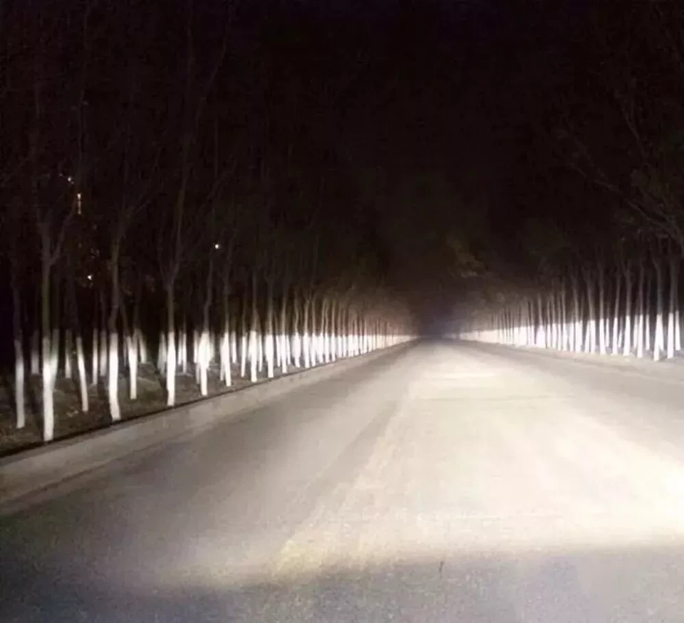 Bombilla de faro de xenón HID delantera de 2 piezas para Lexus GS350 2007-2011 haz bajo Foto 4 de 4