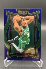 2024-25 Panini Select - Concourse Jaylen Brown #29 Blue