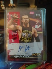 2021 Topps WWE NXT Wrestling Cards 14