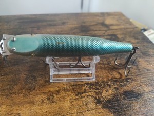 Creek chub Fintail Shiner | eBay