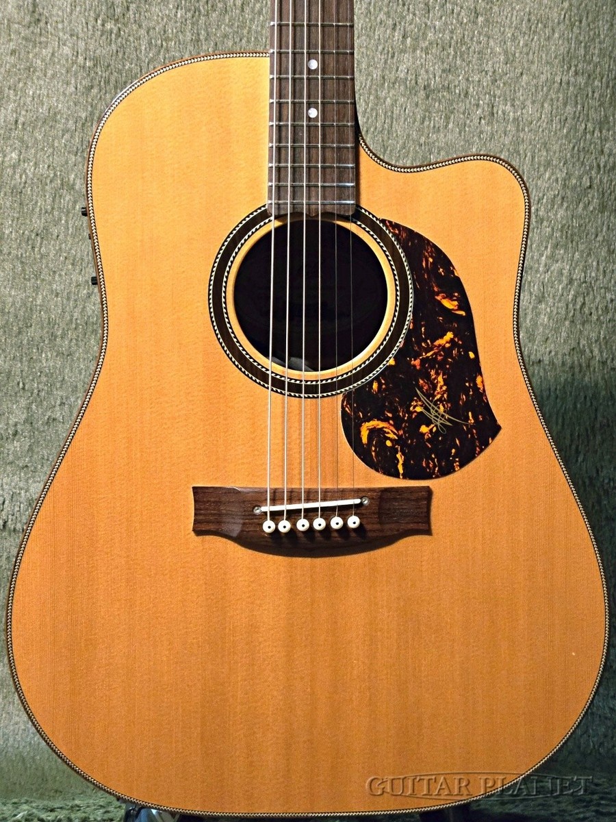 Until MATON The 70th Anniversary Edition Dreadnought -2016USED