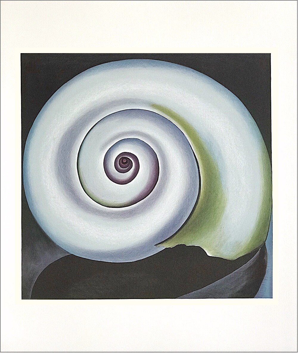 洋書 Georgia O'Keeffe Georgia O'Keeffe | Flower Abstraction | Whitney Museum of
