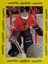 Jeff Hackett, Chicago Blackhawks, 1994, Donru...