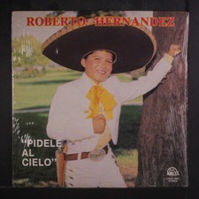 ROBERTO HERNANDEZ: pidele al cielo GARMEX 12