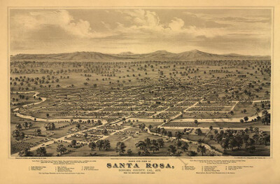 Panoramic Map of Santa Rosa CA c1876 16x24