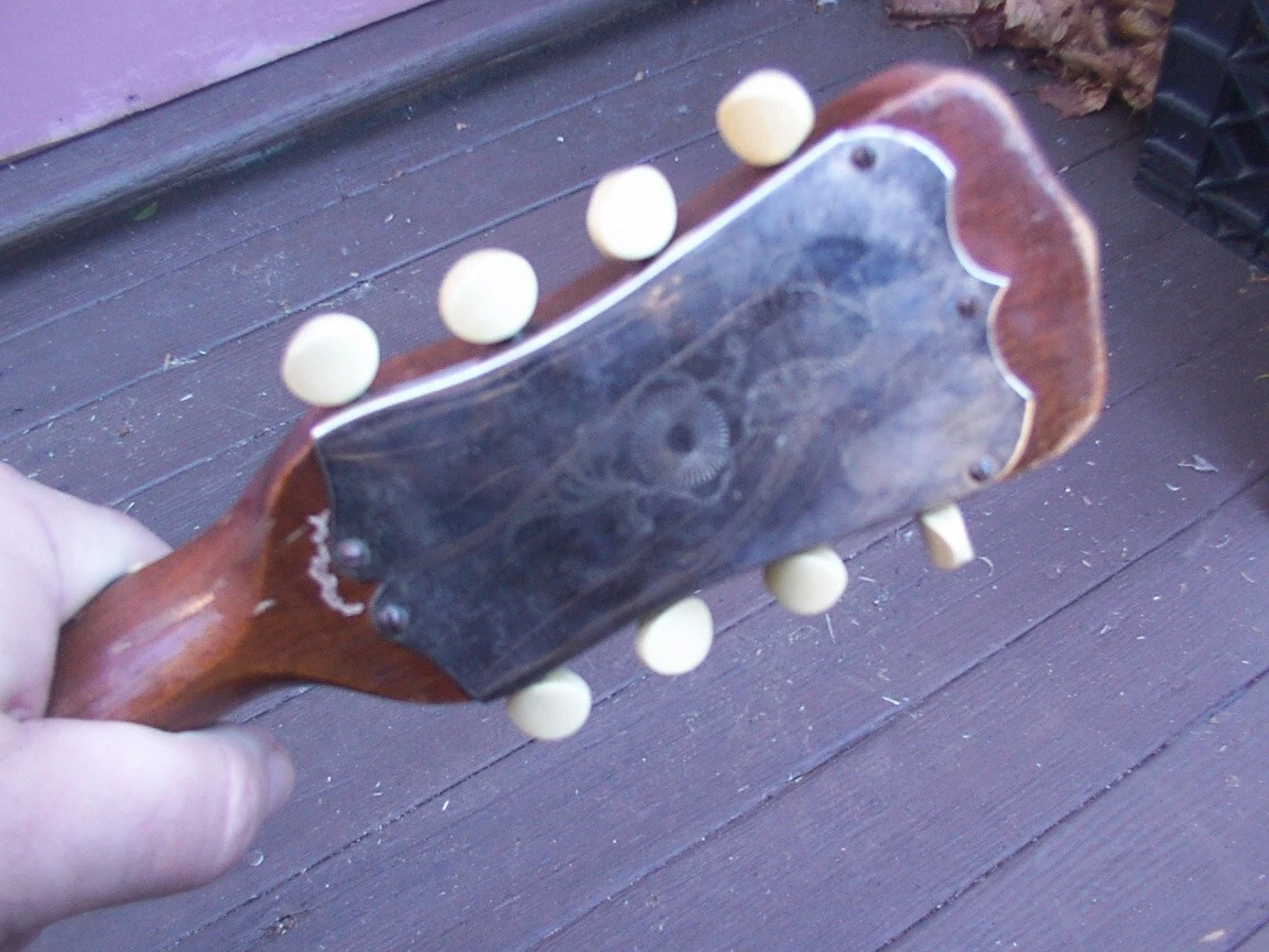 Picture 6 of 10
