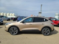 2021 Ford Escape SE FHEV AWD