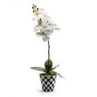 Brand New Mackenzie Childs Courtly Check Orchid Drop In