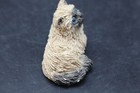 Picture 4 of 6