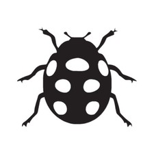 Ladybug Bug Insect - Vinyl Decal Sticker - Multiple Colors Sizes - ebn2924
