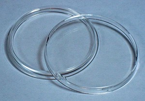 50 AIRTITE-H38mm AIR TITE-AIR TIGHT CAPSULE DIRECT FIT MORGAN DOLLAR