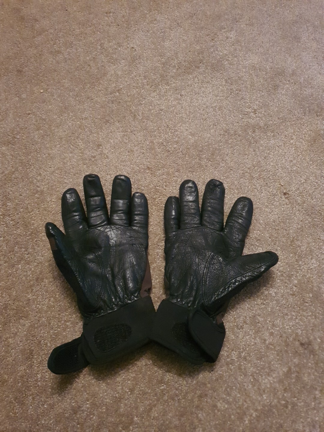 sealskinz waterproof all weather gloves eBay