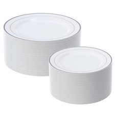 Silver Rim Plastic Plates Set of 60 Disposable Plates Plastic Plates Dinner