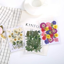 42 PCS Real Dried Pressed Leaf Flowers Plant Herbarium for Craft Resin Jewelr...