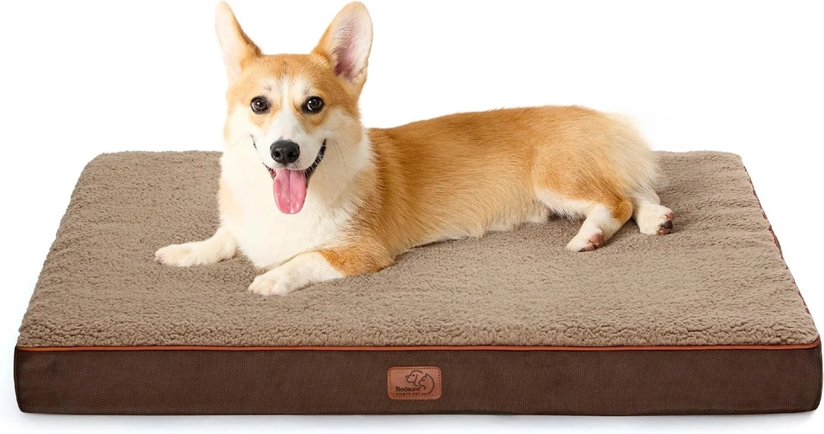Life size top dog pillow