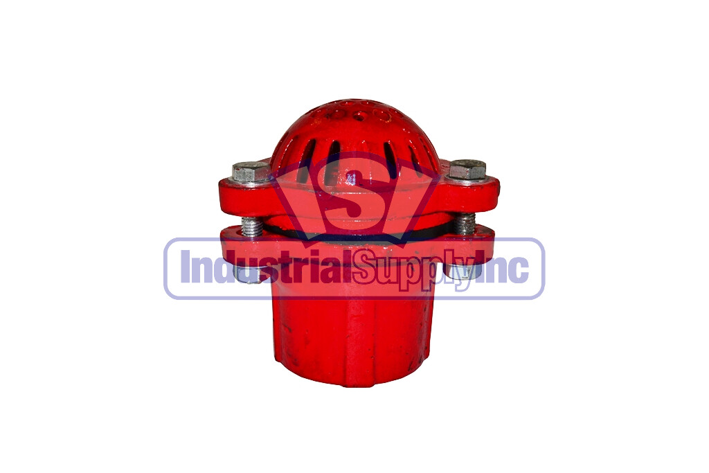 Foot Valve 2" FPT Cast Iron Assembled Red Industrial Supply