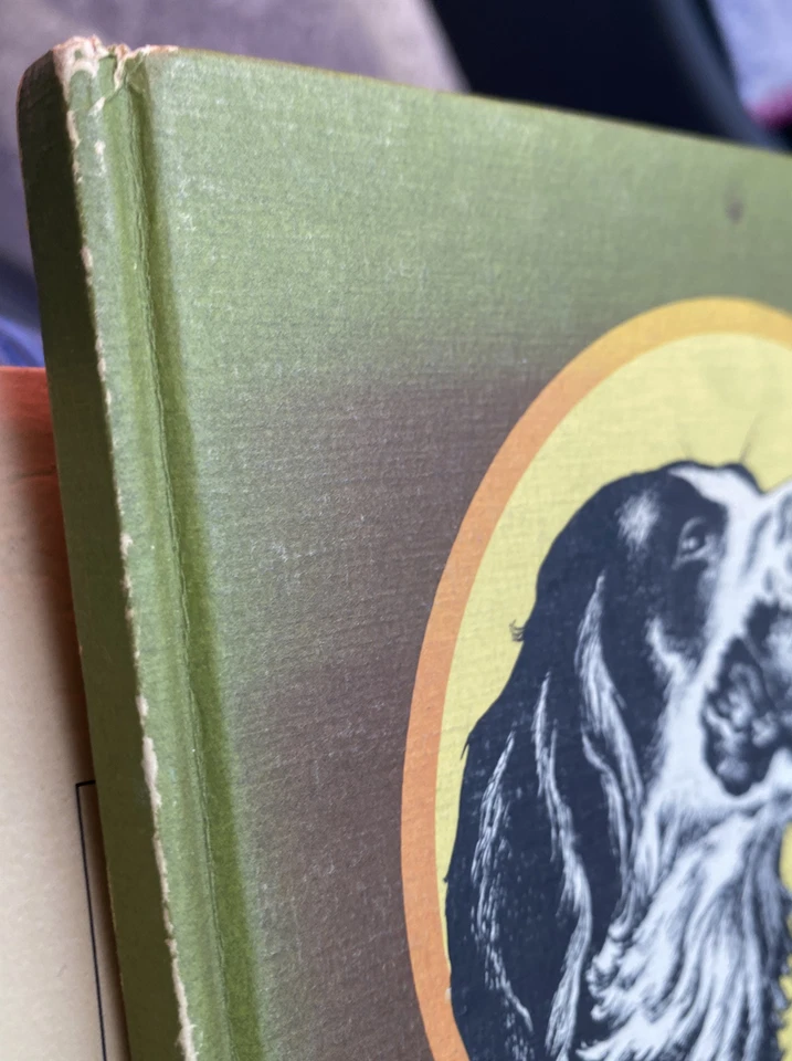 Handling Your Hunting Dog By Bufkin 1937 1ª Edición Purina Dog Chow Gun Book Foto 2 de 4