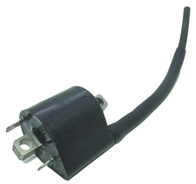 COIL ASSY, IGNITION