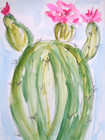 New ListingDesert Succulent Cactus Plant Watercolor Painting Collectible Art