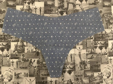 NWT Victoria's Secret Pink No Show Seamless Thong Blue Dancer P Script Dot M