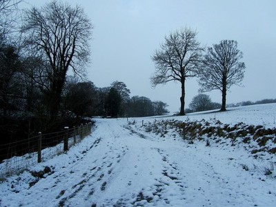 Photo A3 Between Hungrill and Wycongill Farm Holden Following a track in c2013