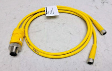 Turck VBRS 4.4-2PKG 3M-0.6/0.6 Cordset M8 Female Double Ended U0117-46