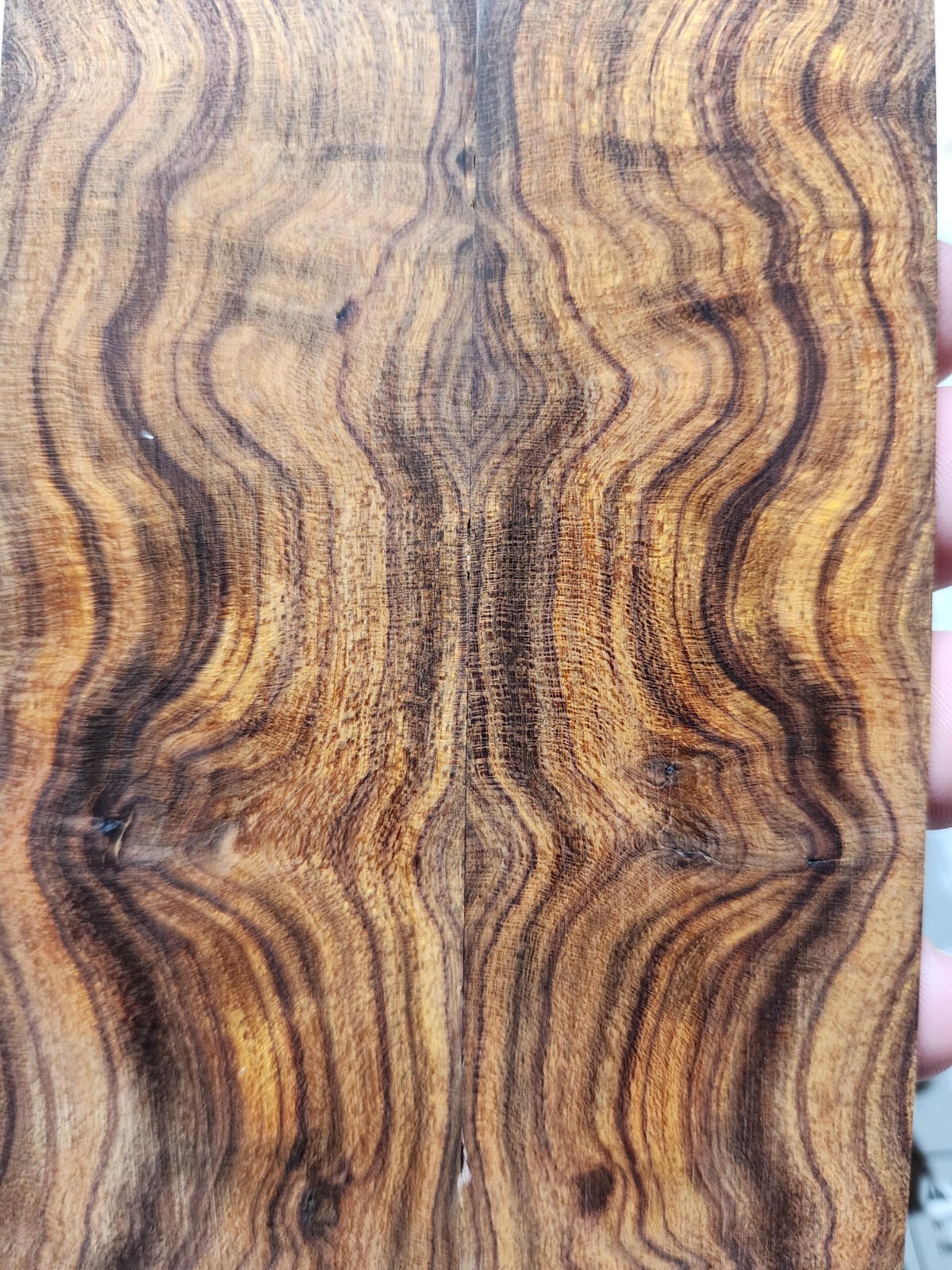 Picture 1 of 5