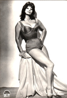 SOPHIA LOREN hollywood MOVIE star PIN UP/CHEESECAKE 1950s postcard/SCARCE