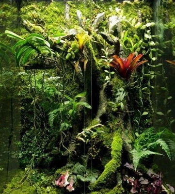 BIOTROPIC. CUSTOM Reptile Amphibian Invertebrate Habitat & Enclosure Decoration Kits