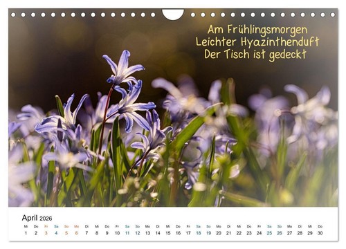 HAIKU, eine fotografische Interpretation (Wandkalender 2026 DIN A4 quer), CALVEN - Bild 7 von 12