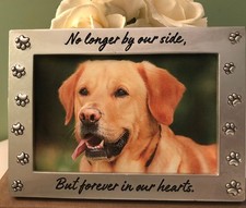 Pet Memorial Picture Frame Keepsake For Dog or Cat, Perfect Loss Of Pet Gift ...