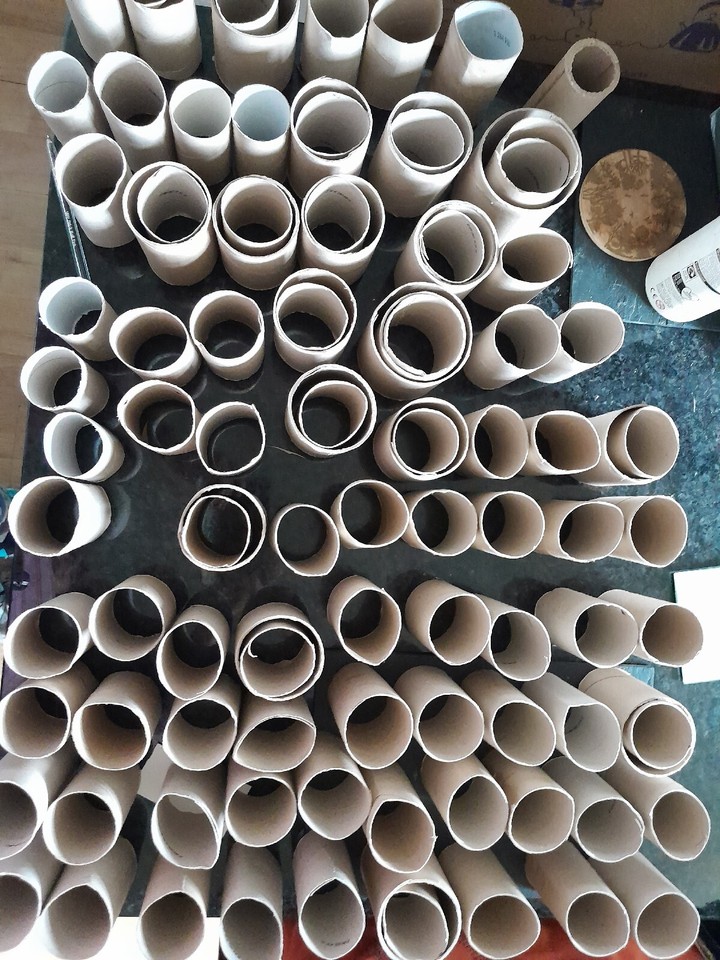 100 Empty Cardboard Toilet Roll Tubes&Variable Tubing Sizes Craft Art