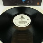 Foto 10 di 10