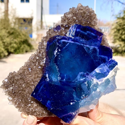 Mineral fluorita cúbica azul transparente natural de Mongolia Interior 2,92 lb - Imagen 4 de 22