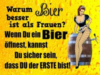 Holzschild 30X40 Cm Pinup Warum Bier Besser Ist Als Frauen Deko Geschenk Holz Sc