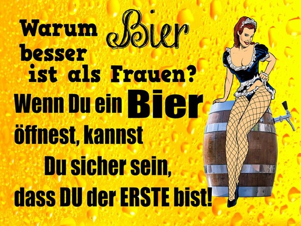 Holzschild 30X40 Cm Pinup Warum Bier Besser Ist Als Frauen Deko Geschenk Holz Sc-image