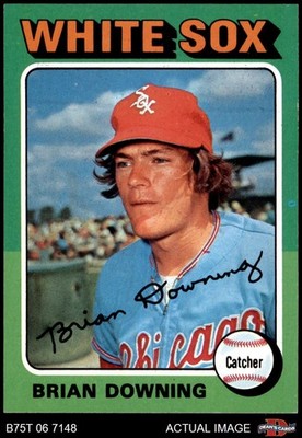 1975 Topps #422 Brian Downing White Sox 7.5 - NM+